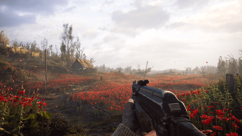 Cómo completar los campos de amapola en Stalker 2