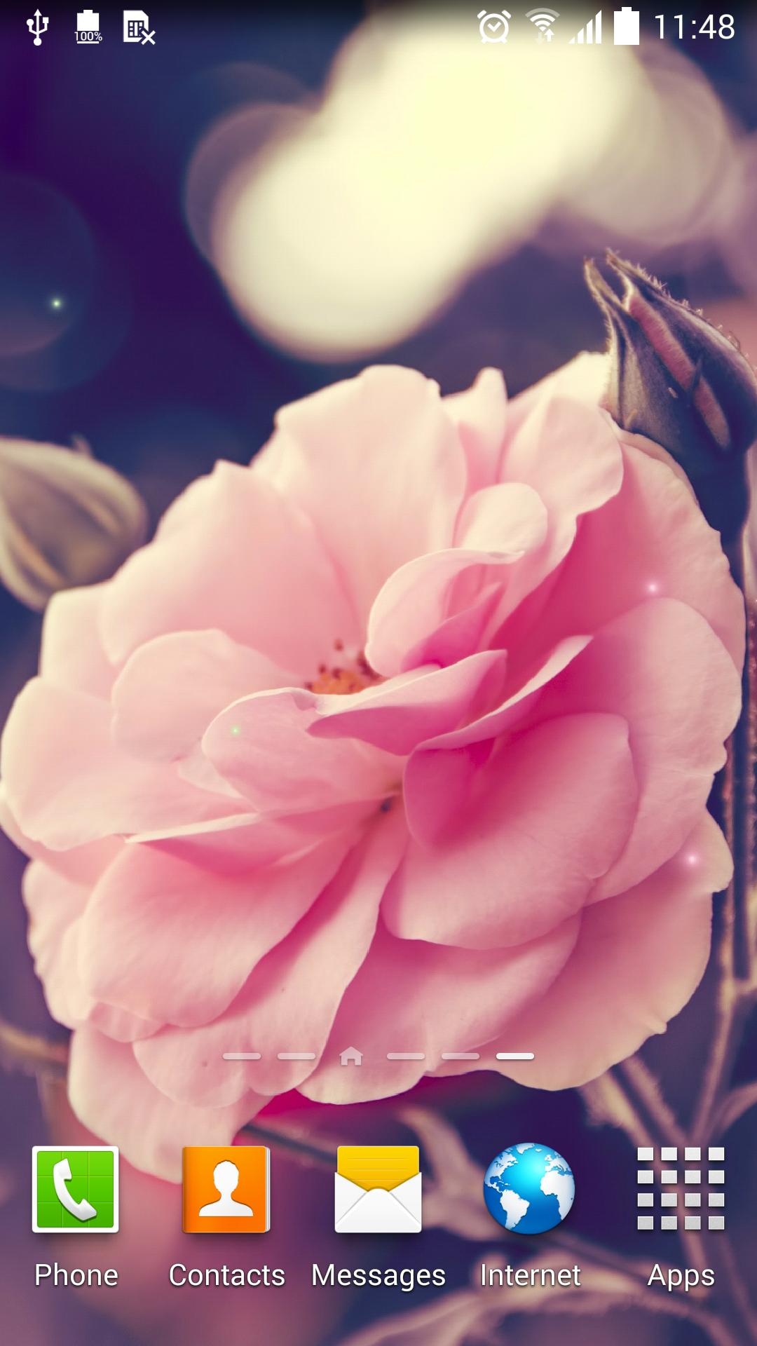Rose Live Wallpaper