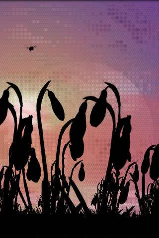 Snowdrops Lite