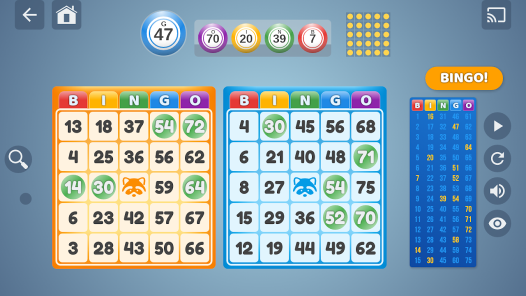Bingo Set