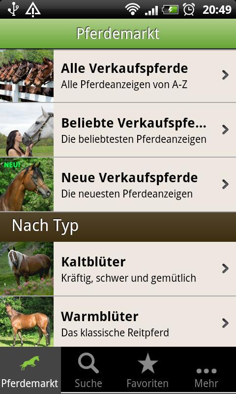 Caballo Horse Market