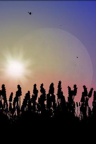 Lavender Field Free