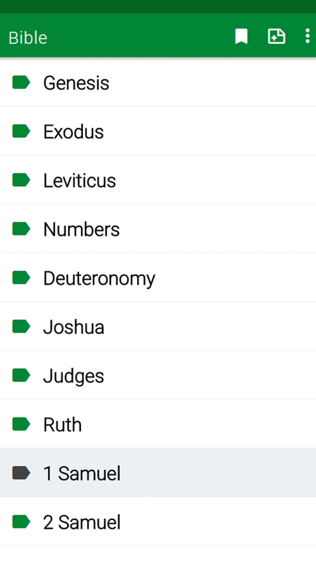RSV Bible