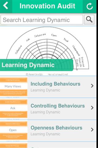 Innovation Audit