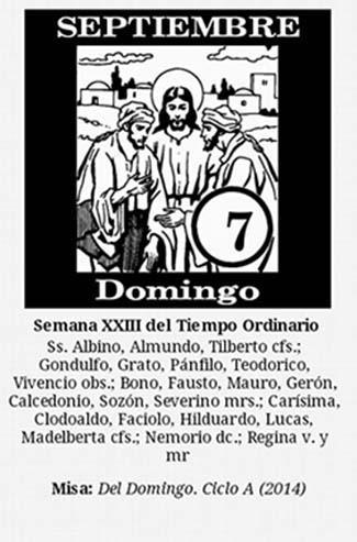Taco Mensajero 2015