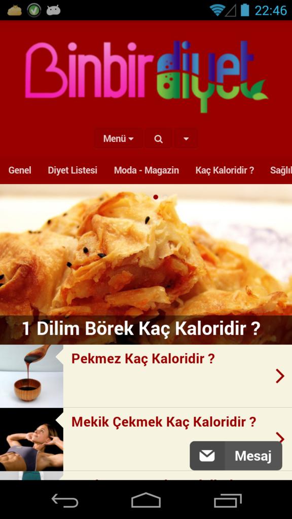Diyet Listesi