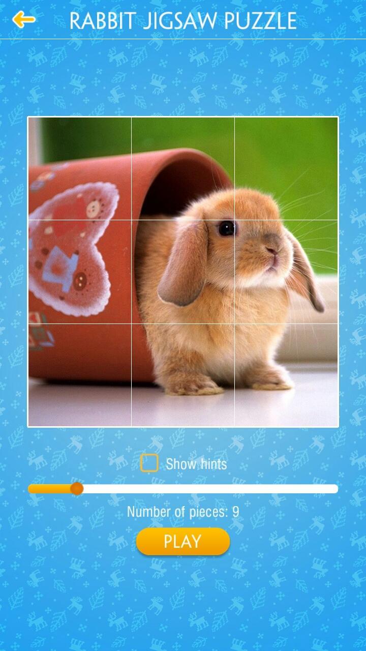 Rabbit Jigsaw Puzzle