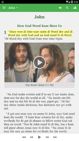 Nigerian Pidgin Bible