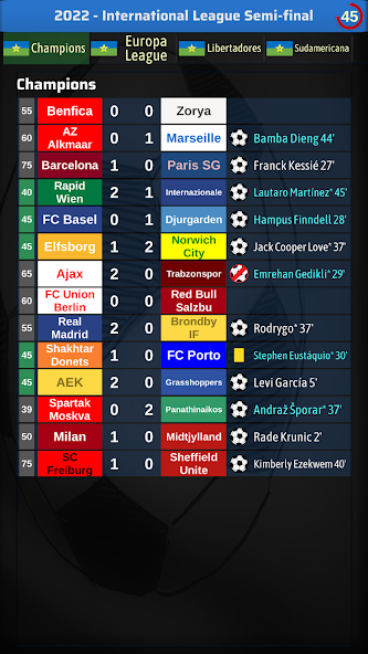 Elifoot 24