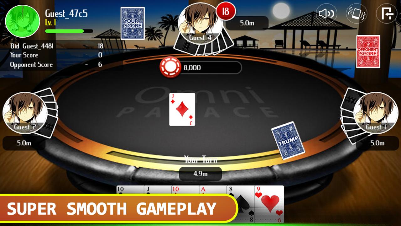 29 Card Game
