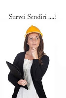 Survei Pemilu 2014