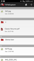 TS File Explorer