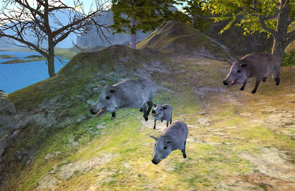 Survive Wild Boar