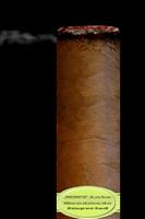 v Cigar