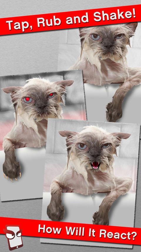 Angry Cat Free!
