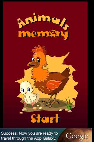 Memory Animals