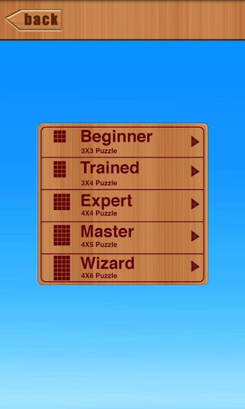 Match It Picture Puzzle