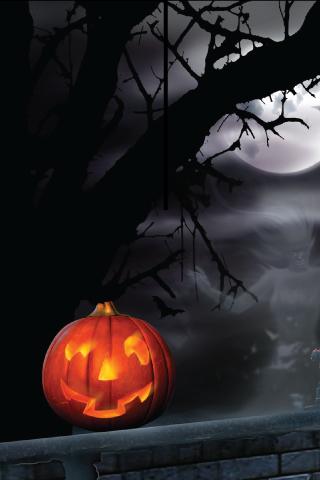 Jack-O-Lantern 4 UR Halloween!