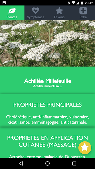 AromaGuide Huiles essentielles
