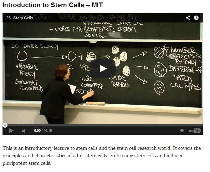The Stem Cells Blog