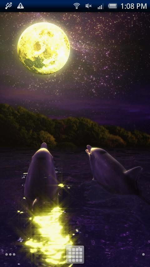 Mystery Moonlight Trial