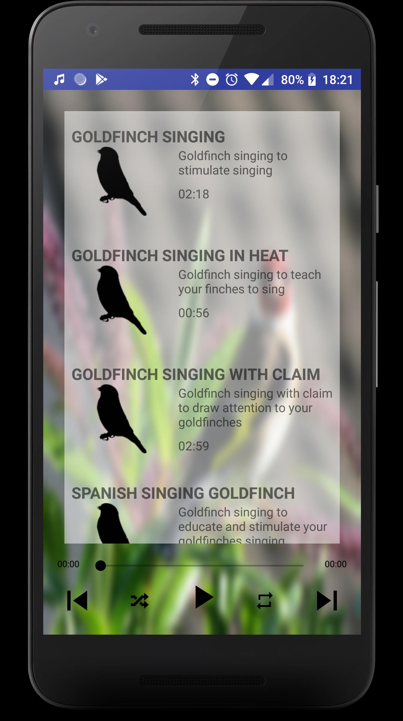 Free Singing goldfinches