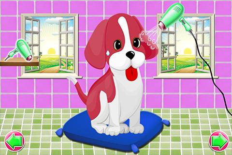 Puppy Wash & Dress Up