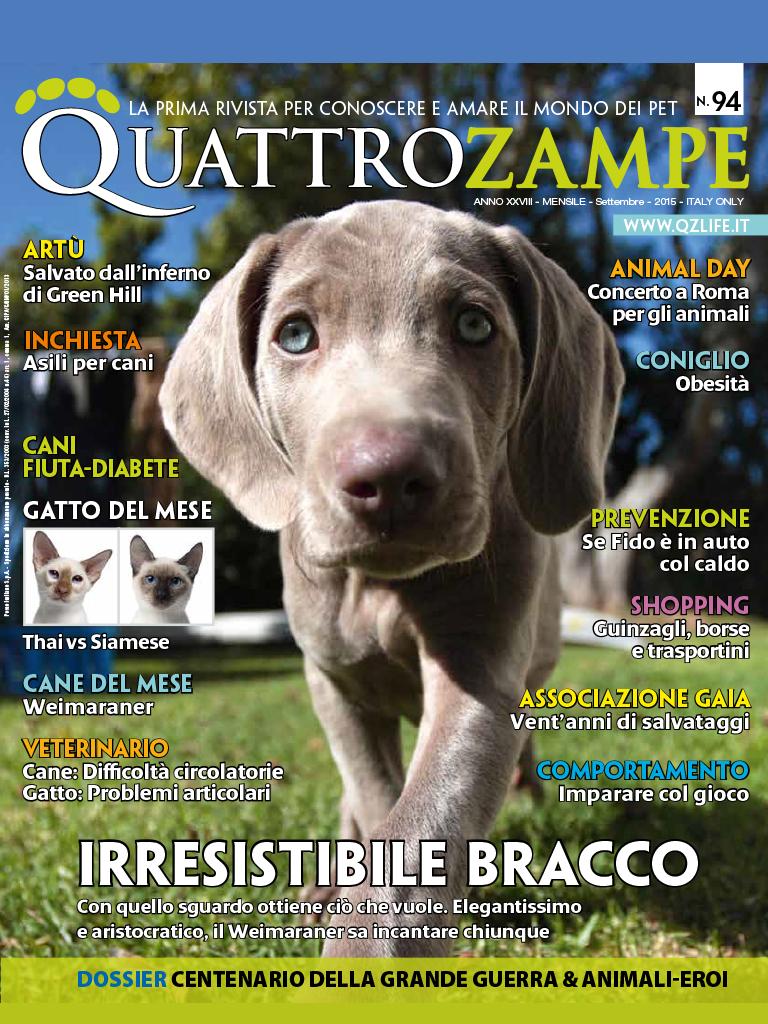 Quattro Zampe