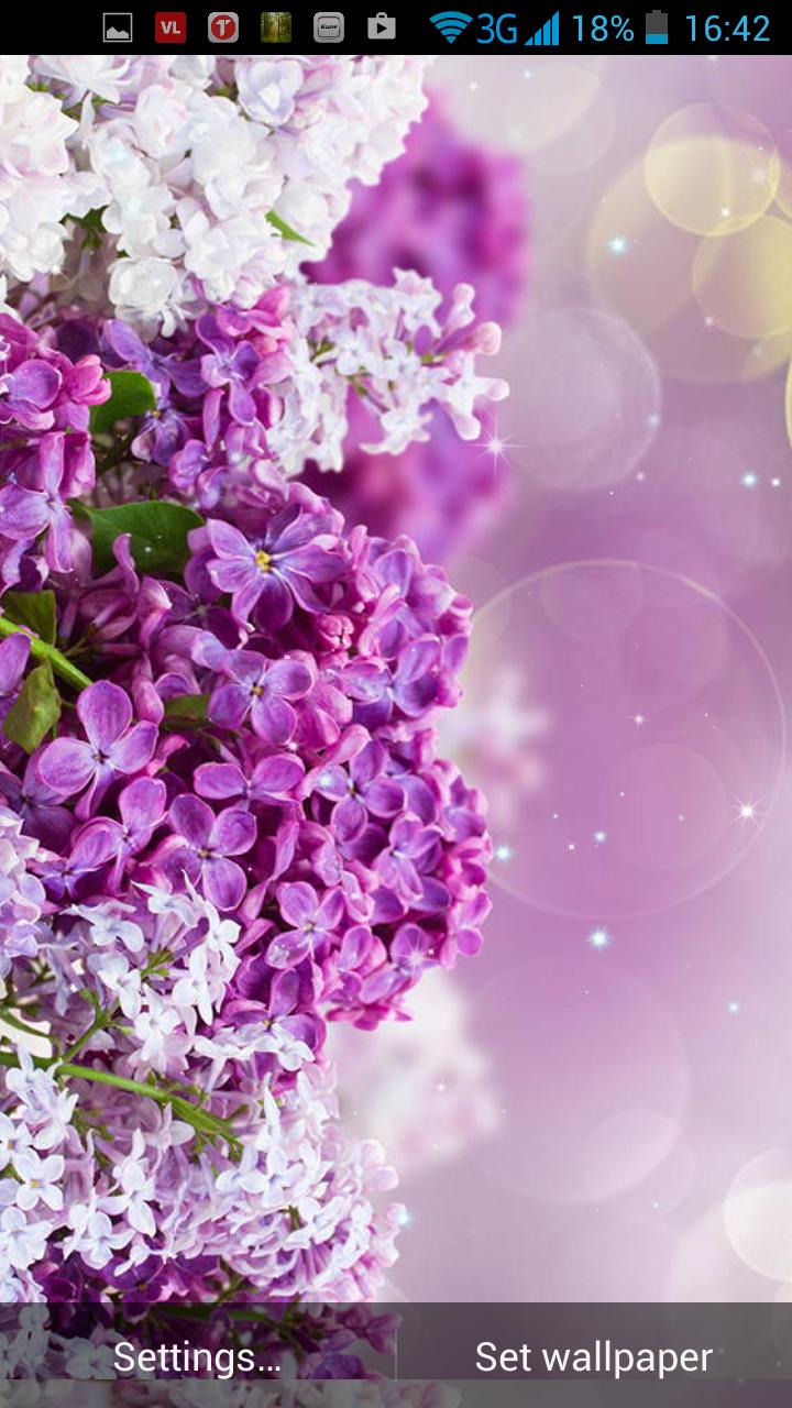 Flower Live Wallpaper