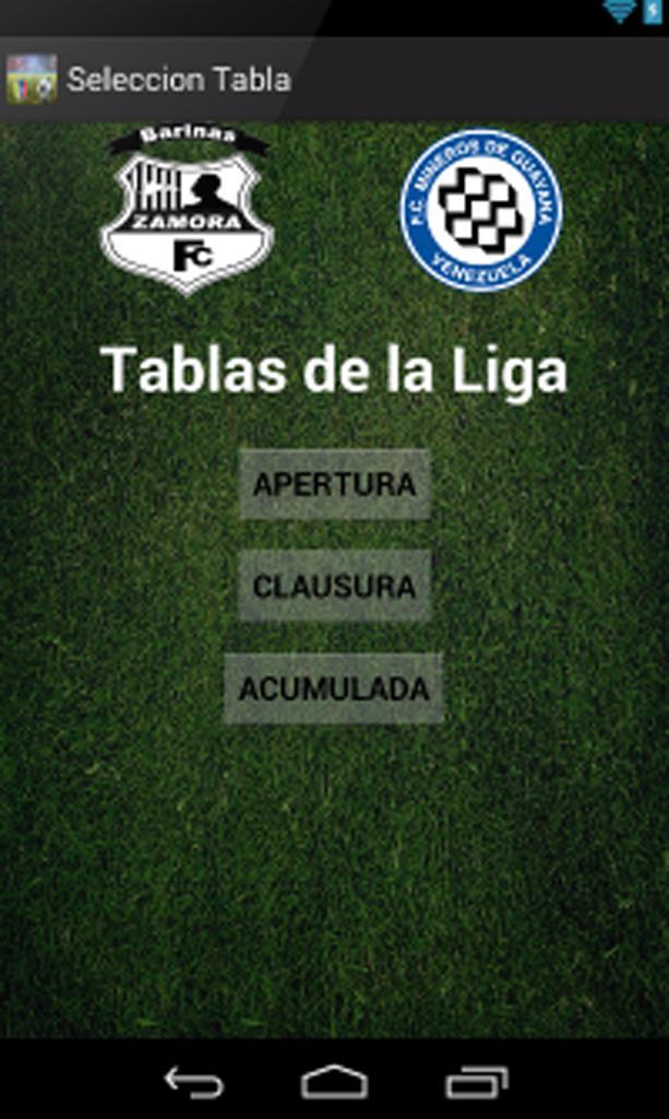 Liga Venezolana de Futbol