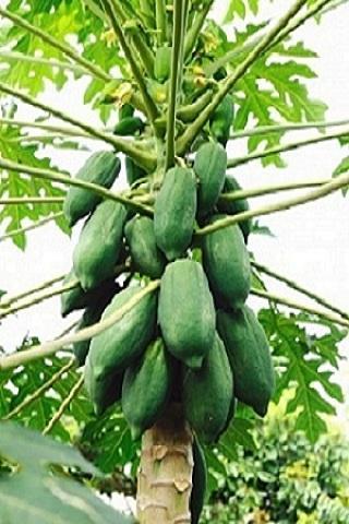 Remove Unwanted Hair In 6 Steps Permanently