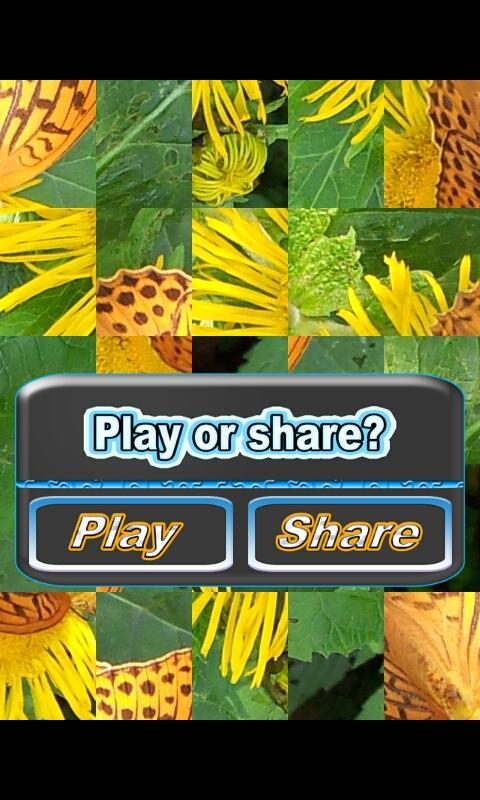 Share photo puzzle