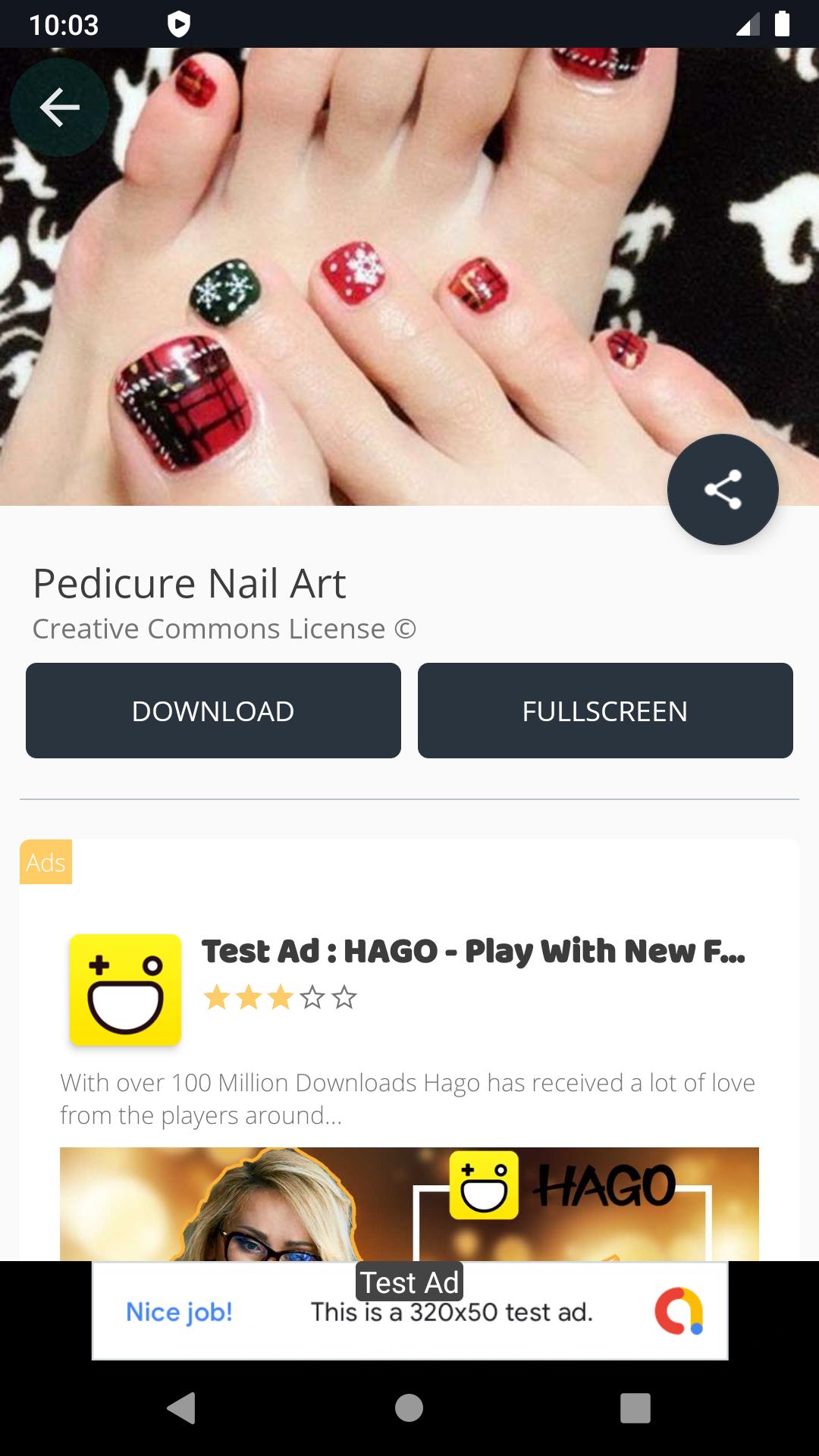 Pedicure Nail Art