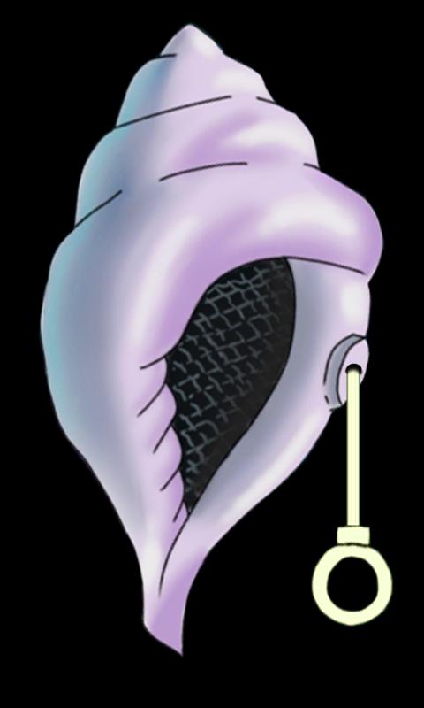 Die magische Miesmuschel