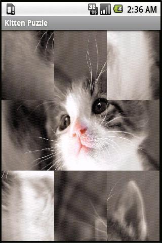 Kitten puzzle