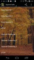 Squirrel Calls 2