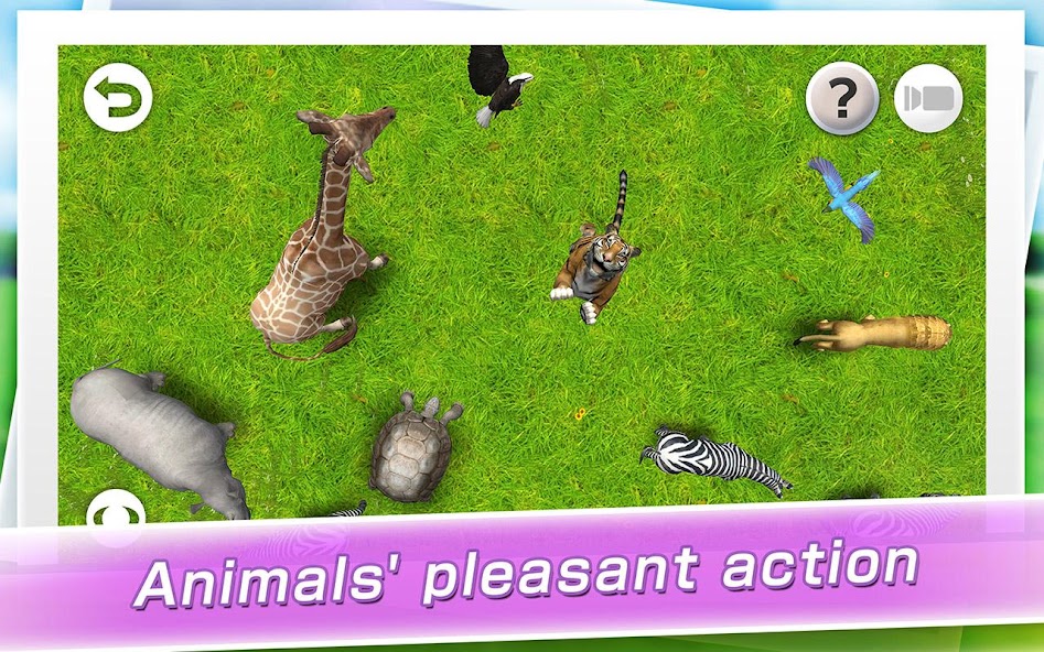 REAL ANIMALS HD