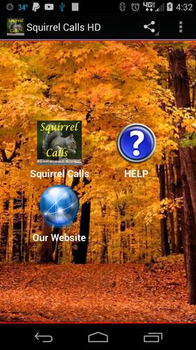 Squirrel Calls 2