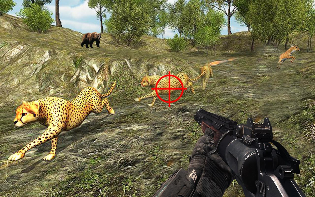 Hunting Animals in Jungle