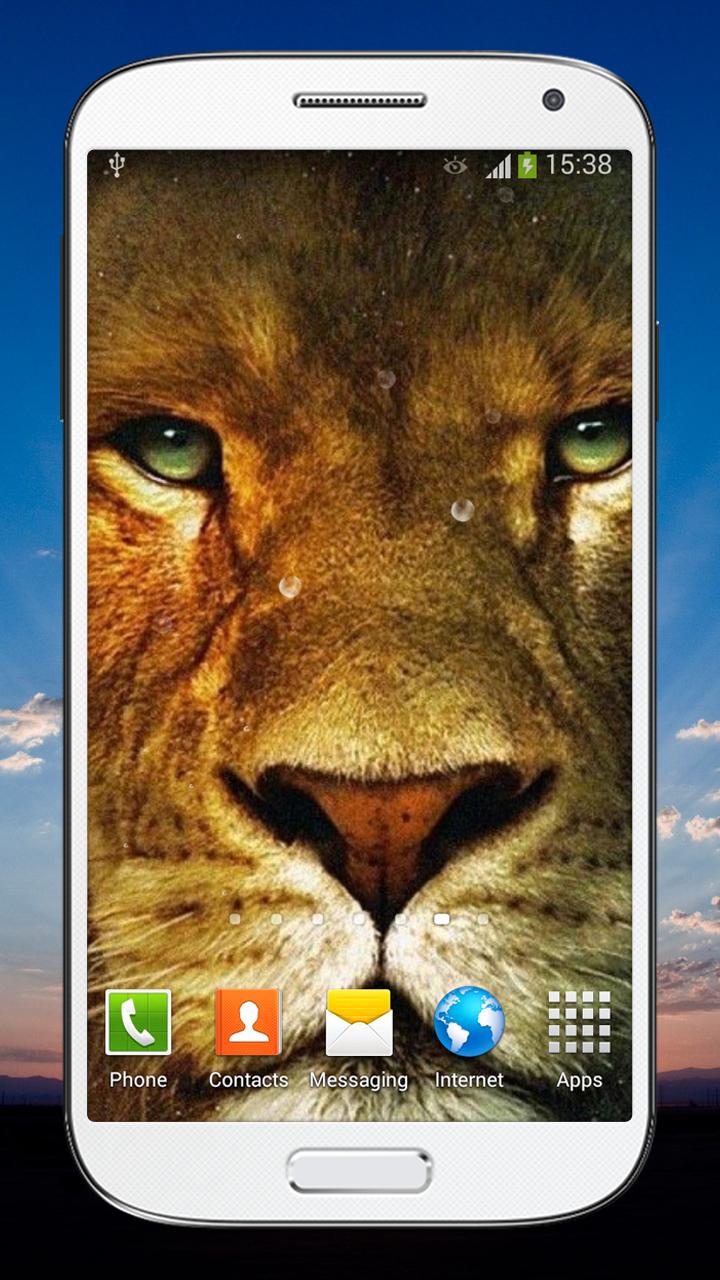 Wild Lion Live Wallpaper HD
