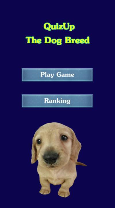 ﻿Quizup the Dog breed