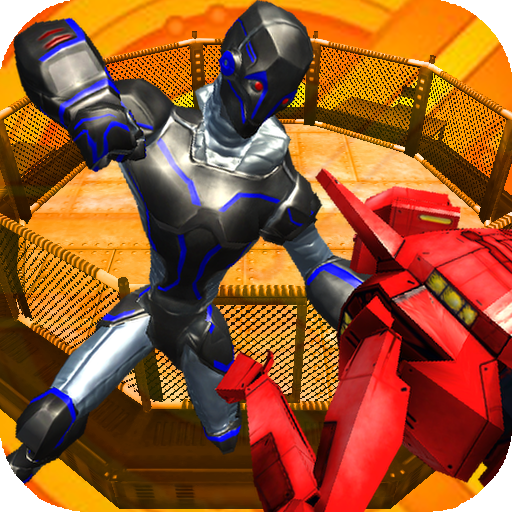 Robot Virtual Boxing 3D