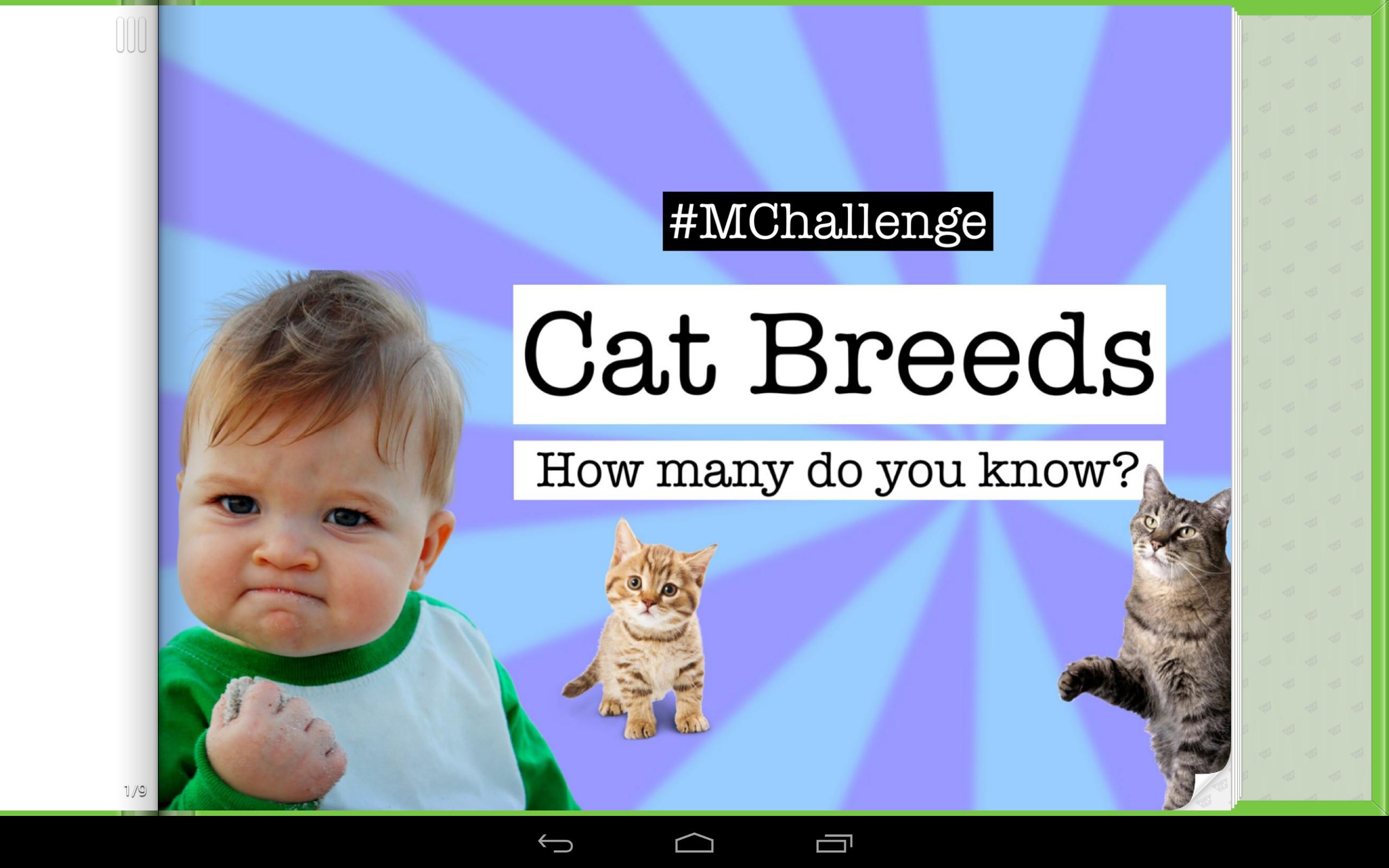 Cat Memes & Breeds Game