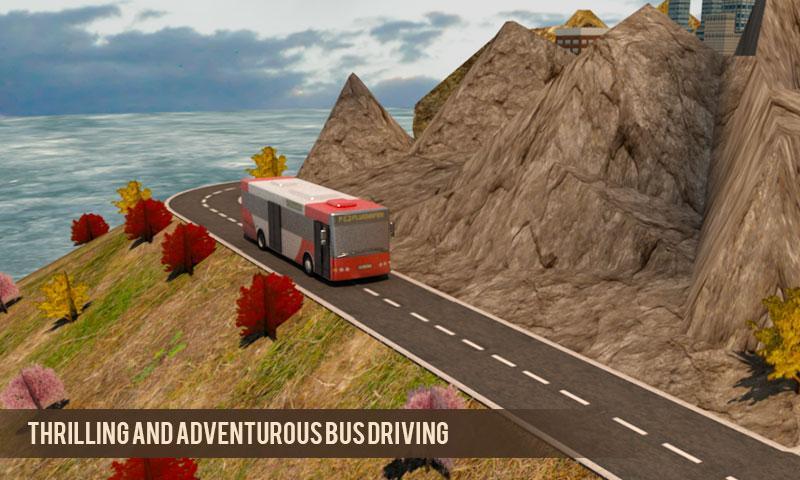 Hill-side Tourist Bus Driver