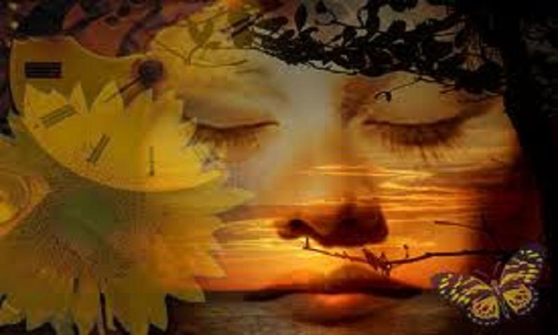 Wanita Banyak Disukai Pria