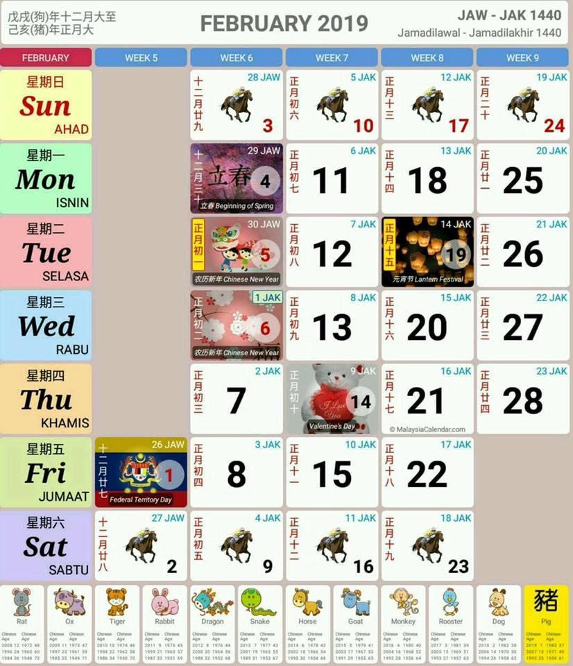 Calender 2019