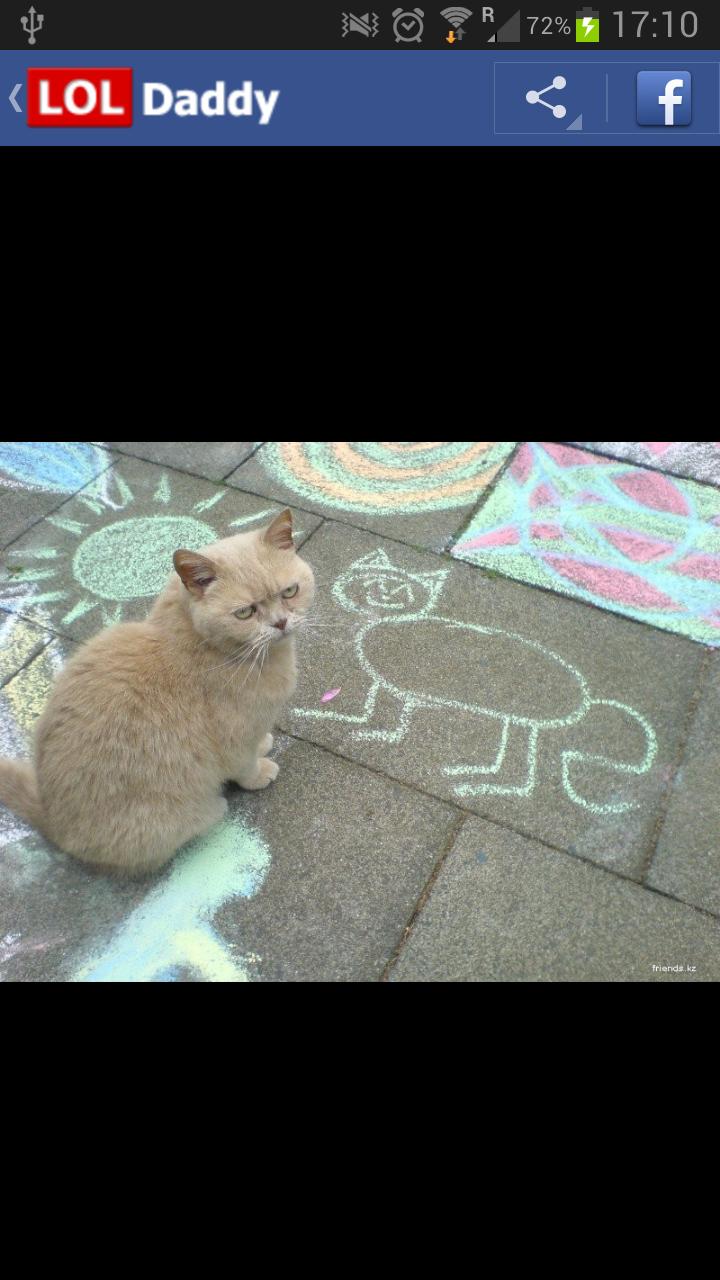 LOLDaddy - funny pics and GIFs