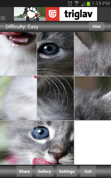 Jigsaw Puzzle: Cute Animals