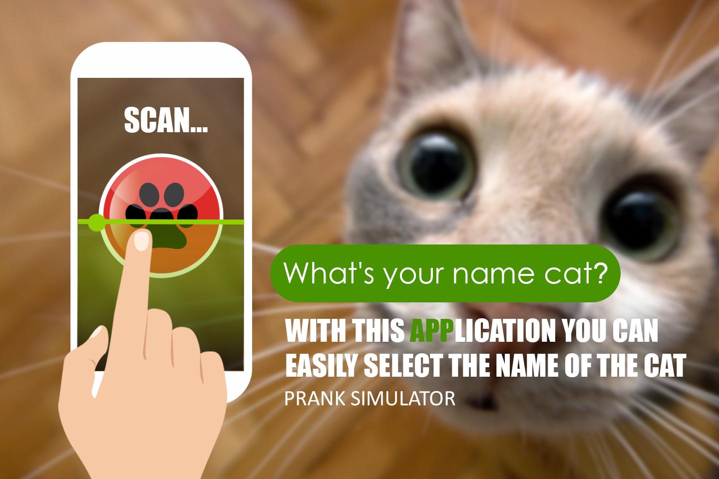 The real name cat scanner