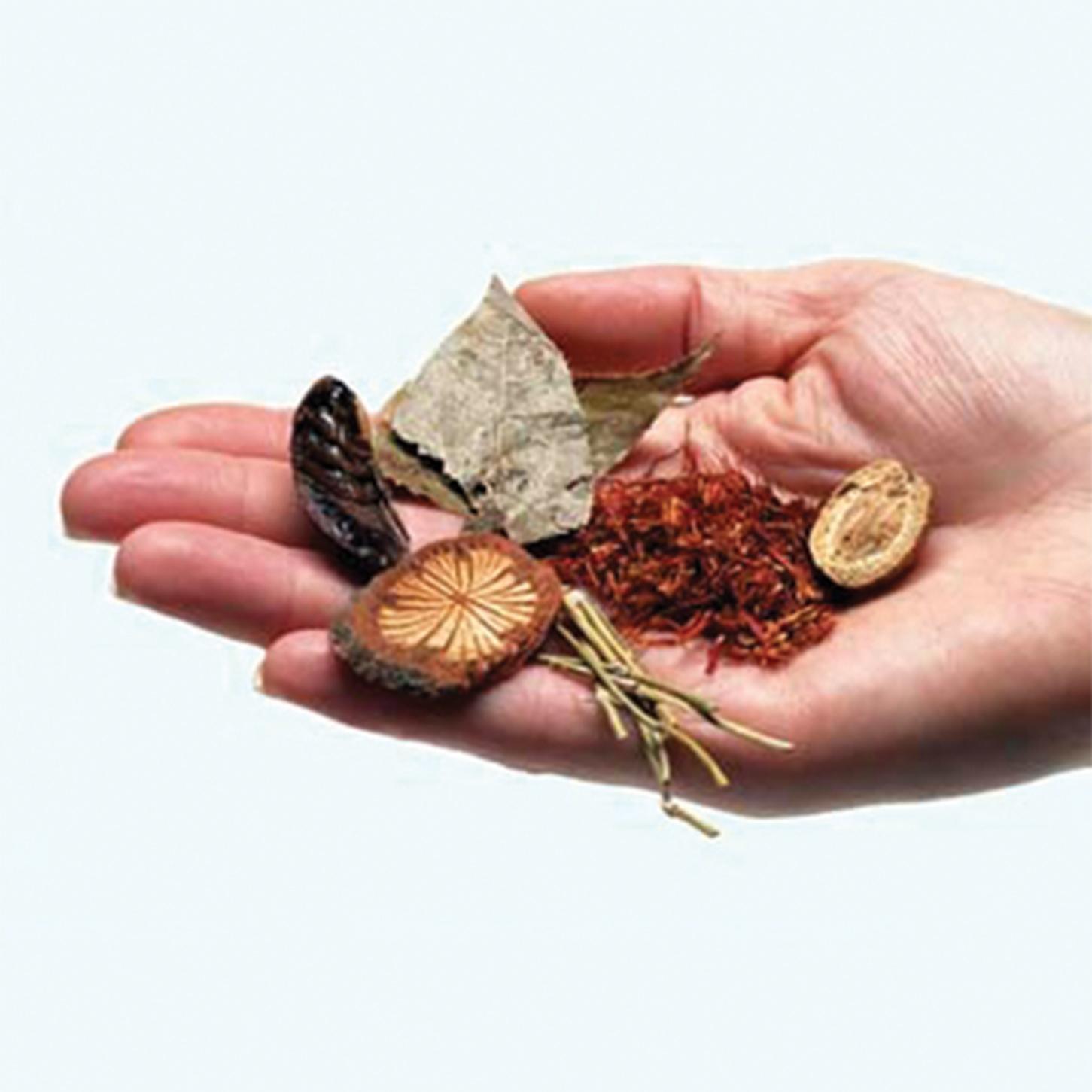 1001 Obat Tradisional